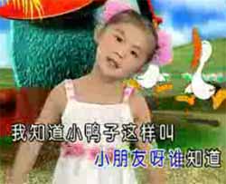 ׶赸Ƶ-赸Ƶ