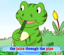 ԶӢͯƵȫ-The Toad and the Watermelonͯ¶Ƭ