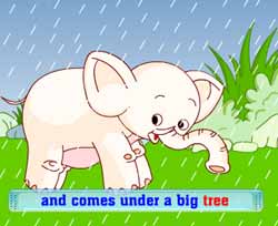ԶӢͯƵȫ-The Big Tree Umbrellaͯ¶Ƭ